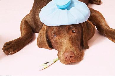 《明末：渊虚之羽》全球解锁时间公布！7月24日爽玩！